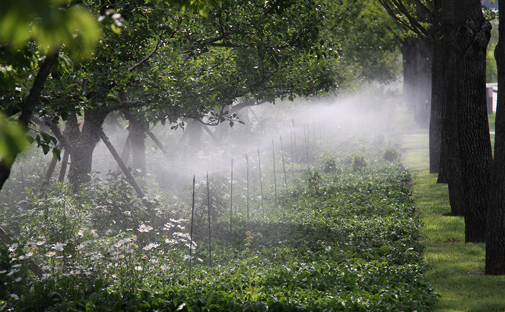 Expansion of rainwater reusage