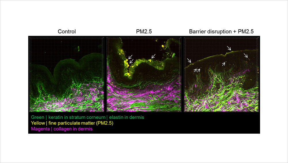 Proven effect in preventing PM2.5 penetration when applying defense technology