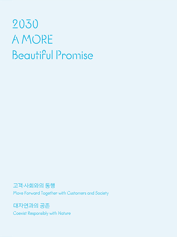 2030 A MORE Beautiful Promise
