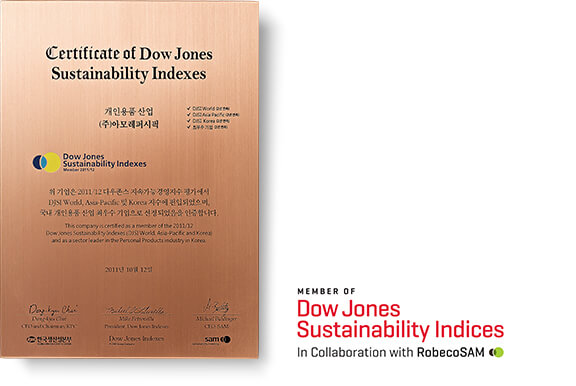 Member of dow jones sustainability indices In collaboration with RobecoSAM