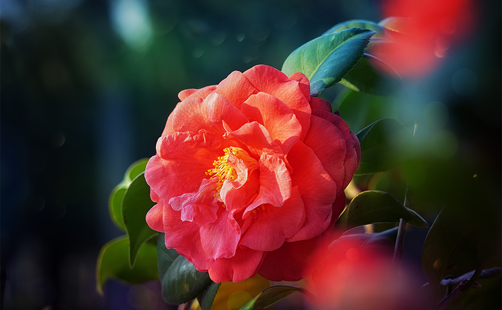 Green chemistry technology innovation