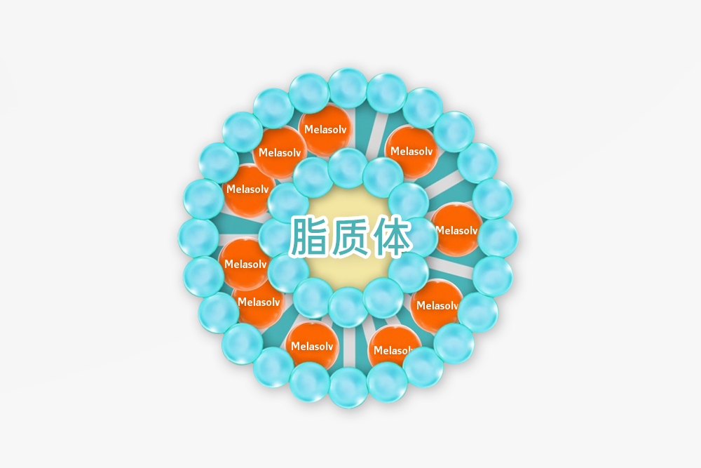 Melasolve:为安全美白献力