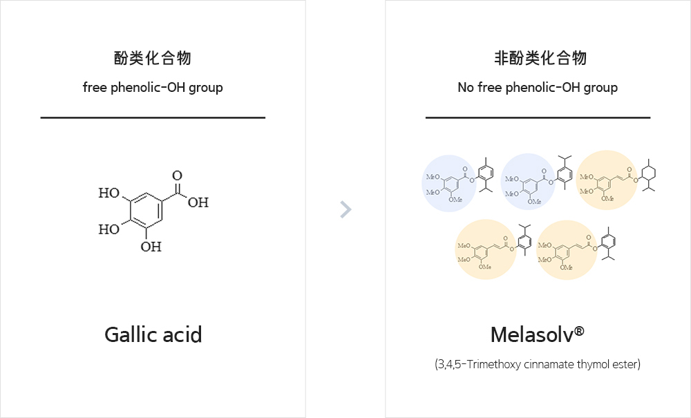 Melasolve:为安全美白献力