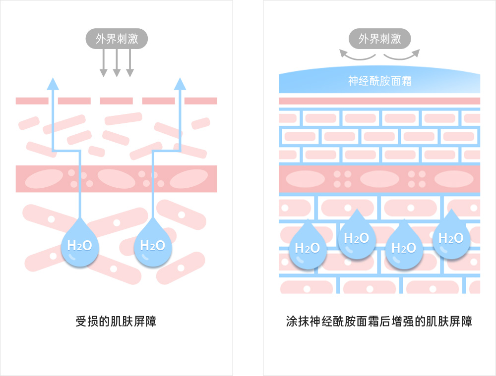 人工仿照护肤功效成分神经酰胺的保湿成分PC-104