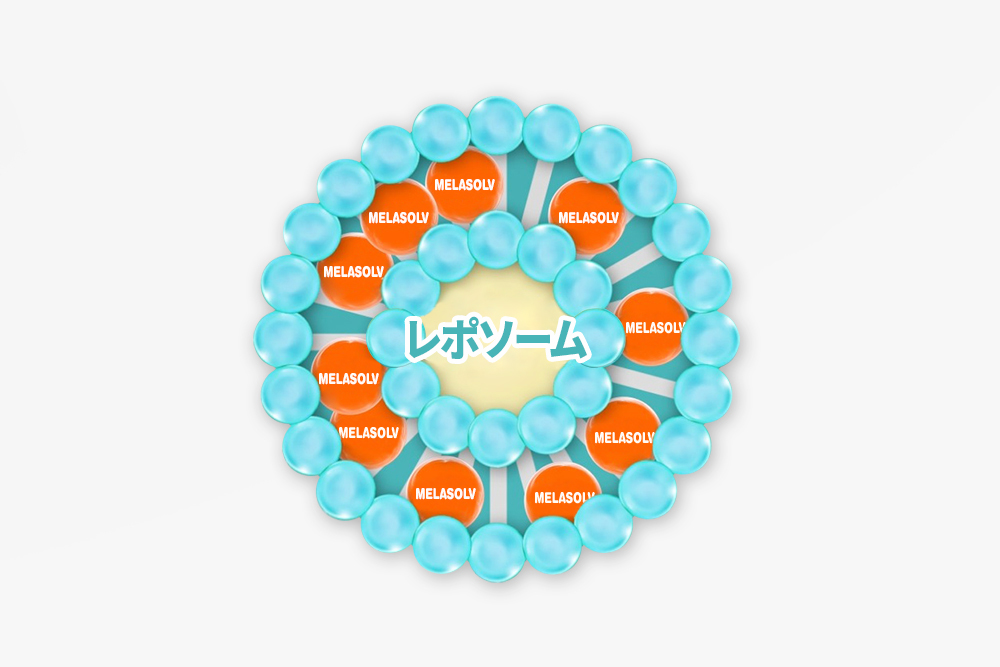 安全な美白実現のための努力、MELASOLV