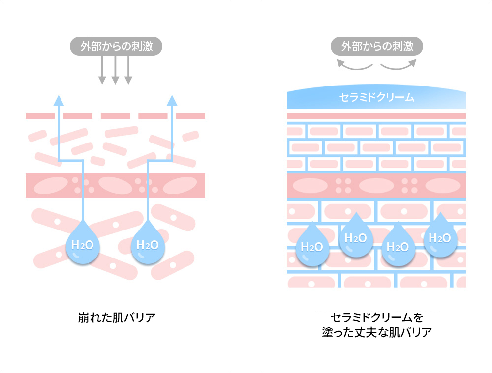 肌効能成分セラミドを模写した保湿成分 PC-104